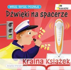 Widzę, słyszę, poznaję. Dźwięki na spacerze Magdalena Młodnicka, Beata Żurawska 9788381448659 Jedność - książka