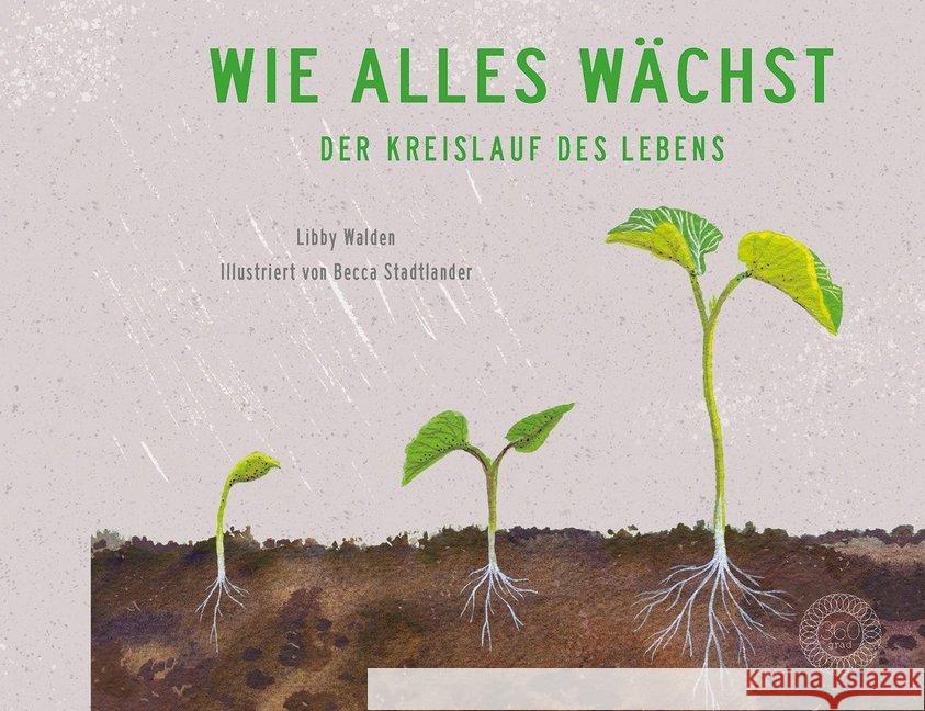 Wie alles wächst : Der Kreislauf des Lebens Walden, Libby 9783961851010 36 Grad - książka