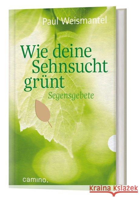 Wie deine Sehnsucht grünt : Segensgebete Weismantel, Paul 9783961571154 camino - książka