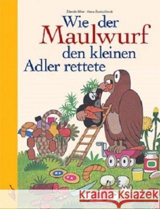 Wie der Maulwurf den kleinen Adler rettete Doskocilova, Hana 9783896033765 LeiV Buchhandels- u. Verlagsanst. - książka
