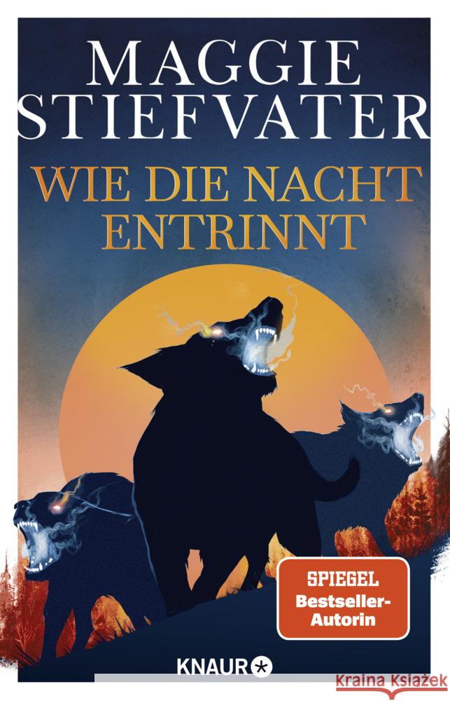 Wie die Nacht entrinnt Stiefvater, Maggie 9783426529492 Knaur - książka