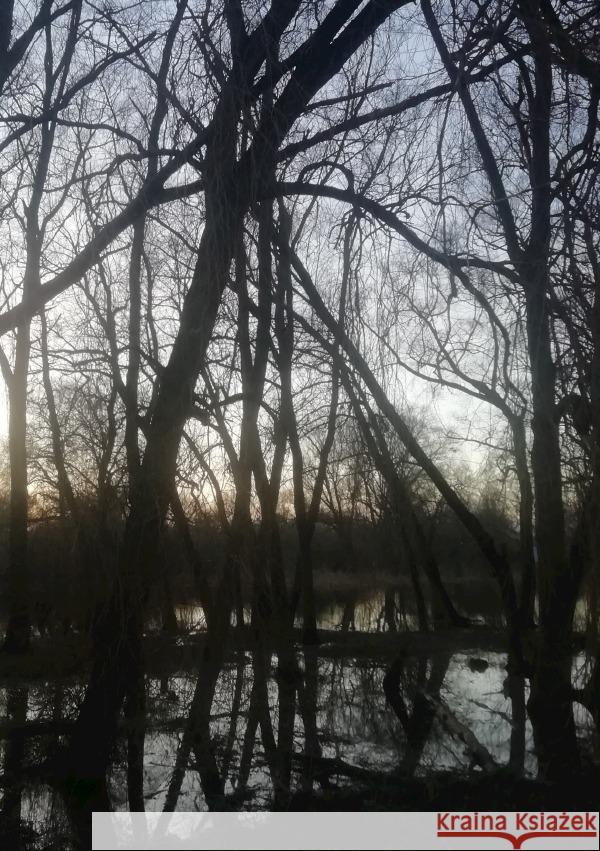 Wie frei ist frei? Körner, MDS 9783759806642 epubli - książka