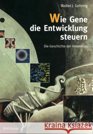 Wie Gene Die Entwicklung Steuern: Die Geschichte Der Homeobox Gehring, Walter J. 9783764360399 Birkhauser - książka