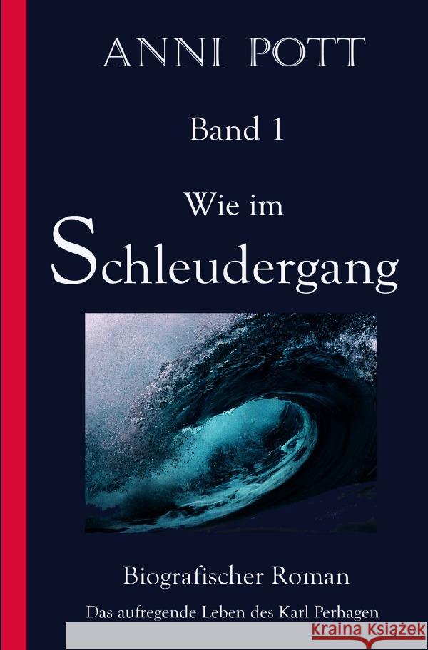 Wie im Schleudergang Pott, Anni 9783754165539 epubli - książka