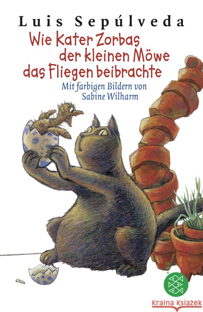 Wie Kater Zorbas der kleinen Möwe das Fliegen beibrachte Sepúlveda, Luis 9783733507572 FISCHER Kinder- und Jugendtaschenbuch - książka