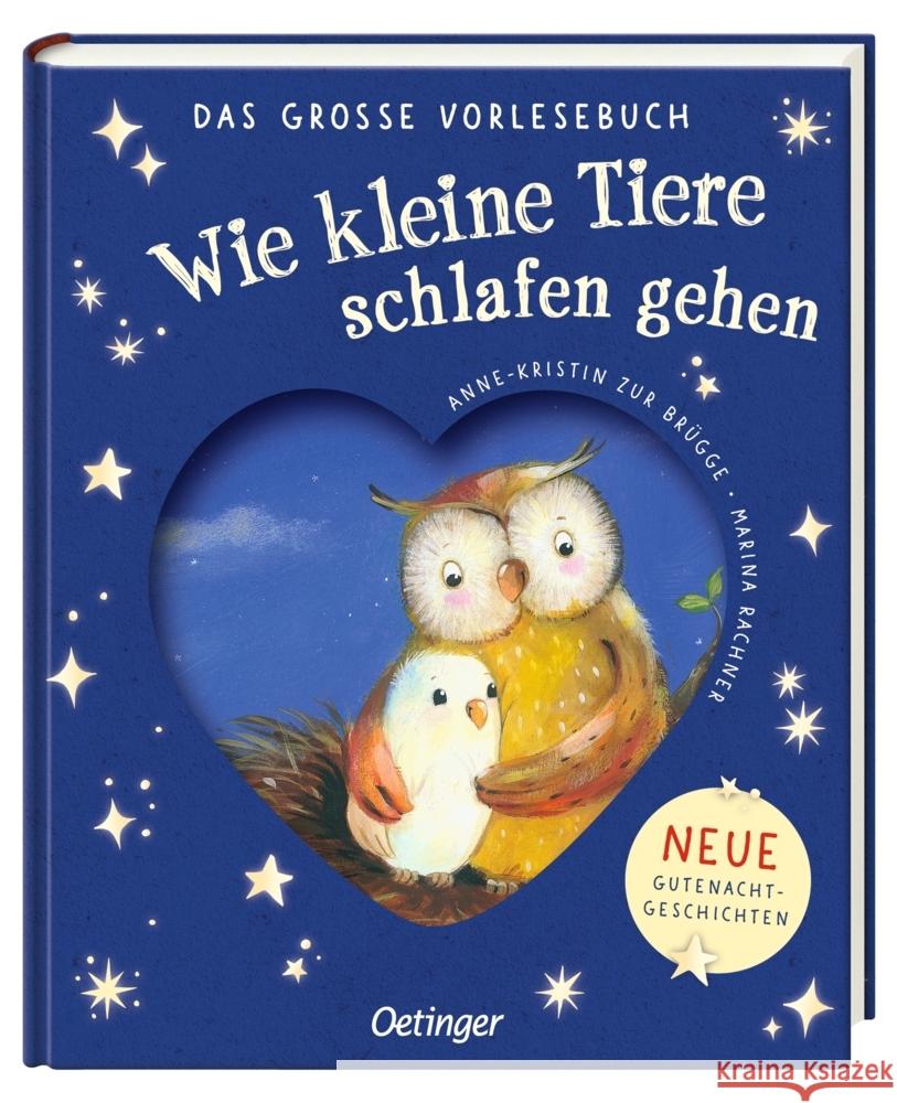 Wie kleine Tiere schlafen gehen. Das große Vorlesebuch Zur Brügge, Anne-Kristin 9783751205603 Oetinger - książka