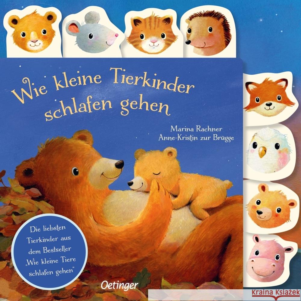 Wie kleine Tierkinder schlafen gehen Zur Brügge, Anne-Kristin 9783751202534 Oetinger - książka