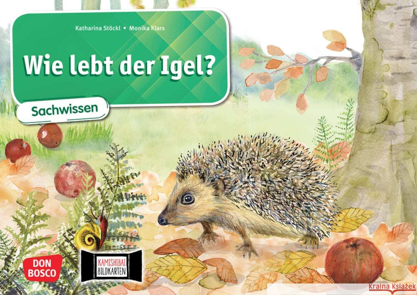 Wie lebt der Igel? Kamishibai Bildkartenset. Stöckl-Bauer, Katharina 4260179516740 Don Bosco Medien - książka