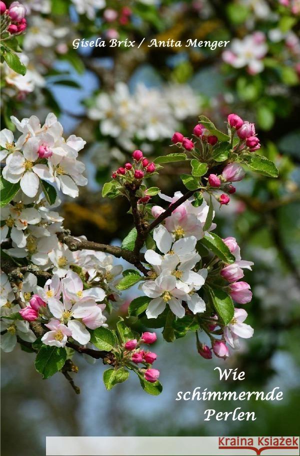 Wie schimmernde Perlen Menger, Anita, Brix, Gisela 9783757564155 epubli - książka