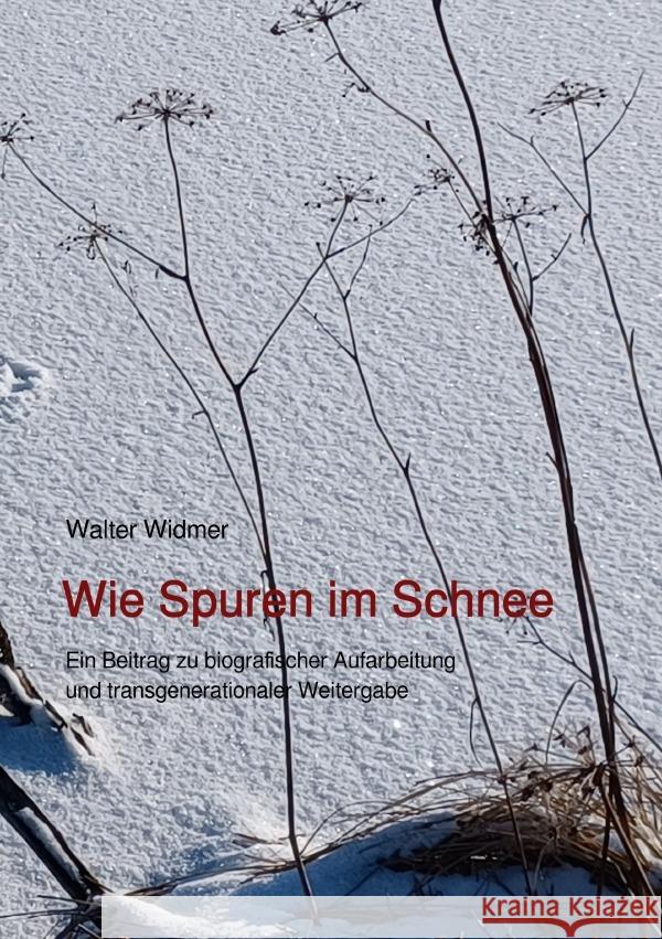 Wie Spuren im Schnee Widmer, Walter 9783819751608 epubli - książka