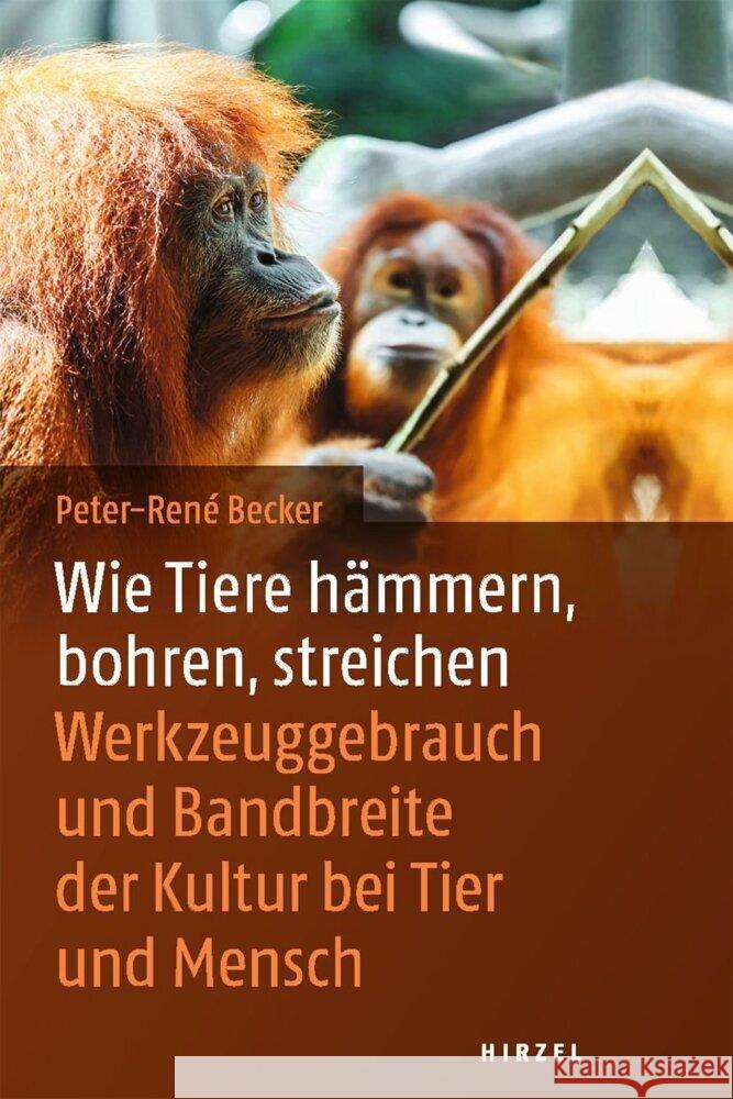 Wie Tiere hämmern, bohren, streichen Becker, Peter-René 9783777628486 Hirzel, Stuttgart - książka