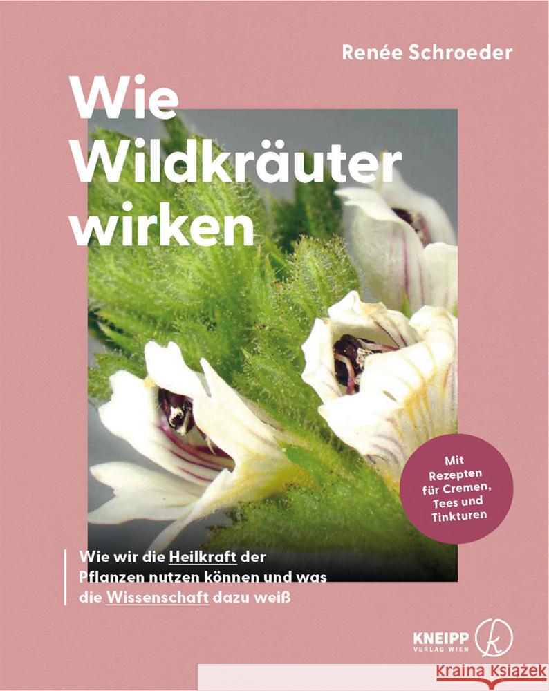 Wie Wildkräuter wirken Schroeder, Renée 9783708808611 Kneipp, Wien - książka