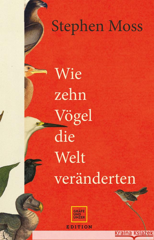 Wie zehn Vögel die Welt veränderten Moss, Stephen 9783833891816 Gräfe & Unzer - książka