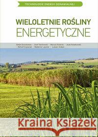 Wieloletnie rośliny energetyczne Praca Zbiorowa 9788377630518 Multico - książka