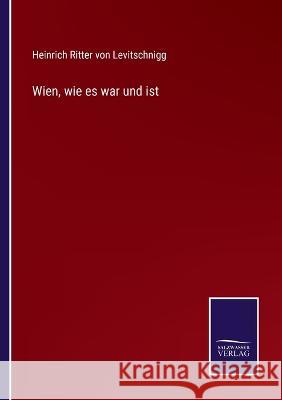 Wien, wie es war und ist Heinrich Ritter Von Levitschnigg 9783375112684 Salzwasser-Verlag - książka