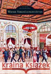Wiener Vergnügungsstätten Faber, Elfriede Kaldy, Robert  9783866804234 Sutton Verlag - książka
