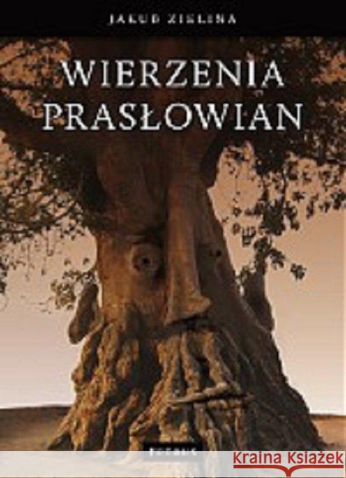 Wierzenia prasłowian Zielina Jakub 9788377201312 Petrus - książka