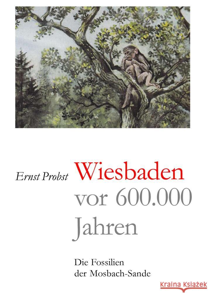 Wiesbaden vor 600.000 Jahren Probst, Ernst 9783384434937 tredition - książka