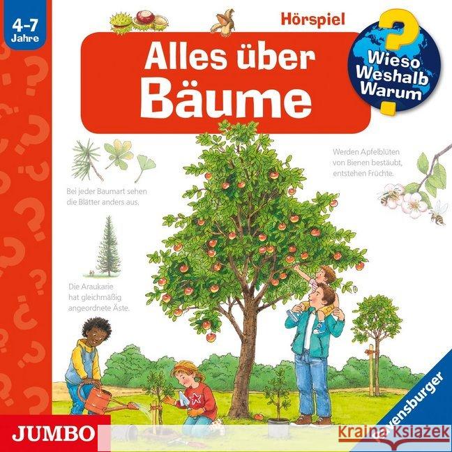 Wieso? Weshalb? Warum? Alles über Bäume, Audio-CD Gernhäuser, Susanne 9783833742101 Jumbo Neue Medien - książka