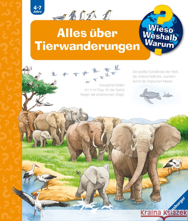 Wieso? Weshalb? Warum?, Band 37: Alles über Tierwanderungen Pätz, Christine 9783473600199 Ravensburger Verlag - książka