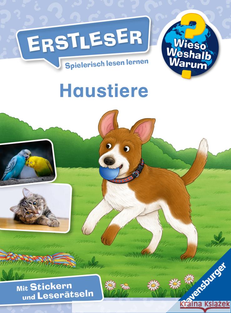 Wieso? Weshalb? Warum? Erstleser, Band 12: Haustiere Müller, Karin 9783473600496 Ravensburger Verlag - książka