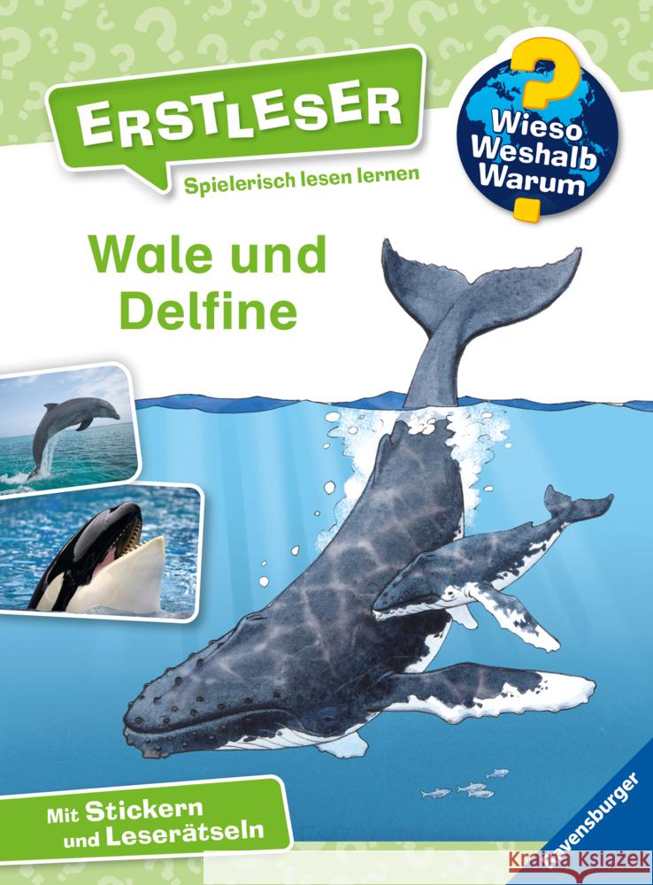 Wieso? Weshalb? Warum? Erstleser, Band 3: Wale und Delfine Noa, Sandra 9783473600021 Ravensburger Verlag - książka