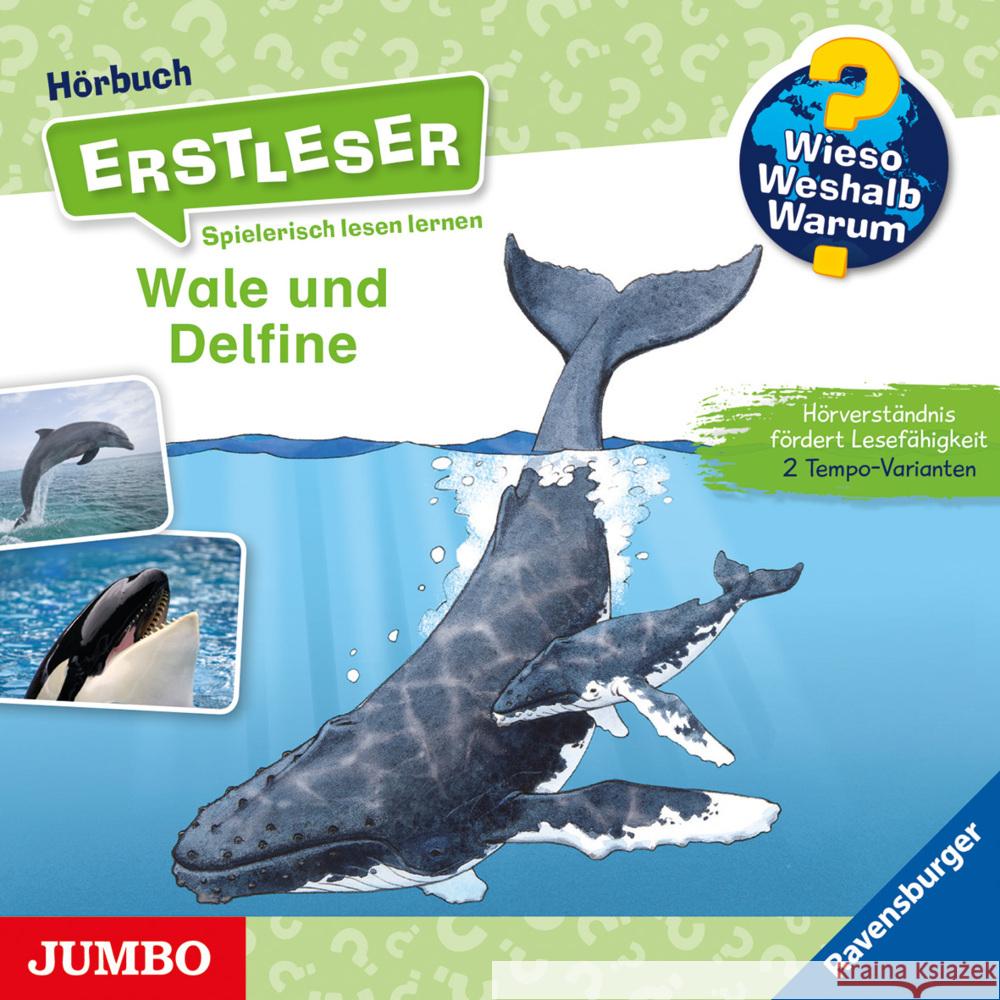 Wieso? Weshalb? Warum? Erstleser Wale und Delfine, Audio-CD Noa, Sandra 9783833743900 Jumbo Neue Medien - książka