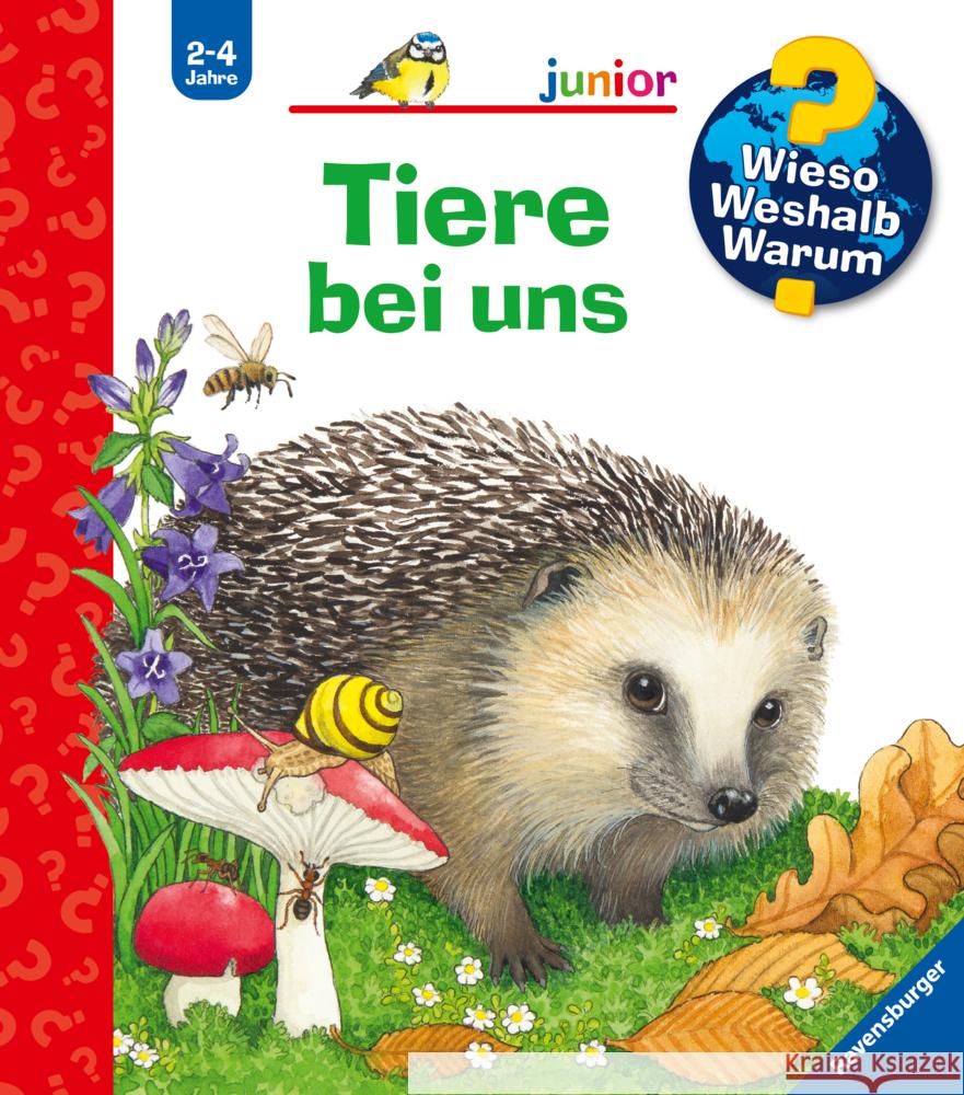 Wieso? Weshalb? Warum? junior, Band 33: Tiere bei uns Mennen, Patricia 9783473600052 Ravensburger Verlag - książka