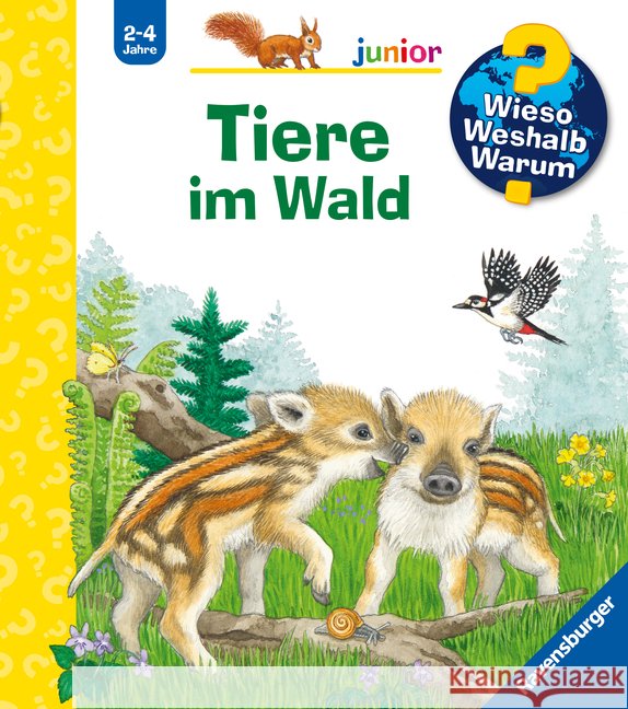 Wieso? Weshalb? Warum? junior, Band 77: Tiere im Wald Mennen, Patricia 9783473600793 Ravensburger Verlag - książka