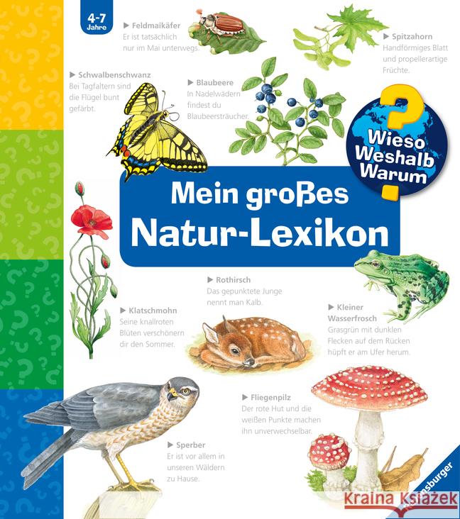 Wieso? Weshalb? Warum?: Mein großes Natur-Lexikon Noa, Sandra 9783473329892 Ravensburger Verlag - książka