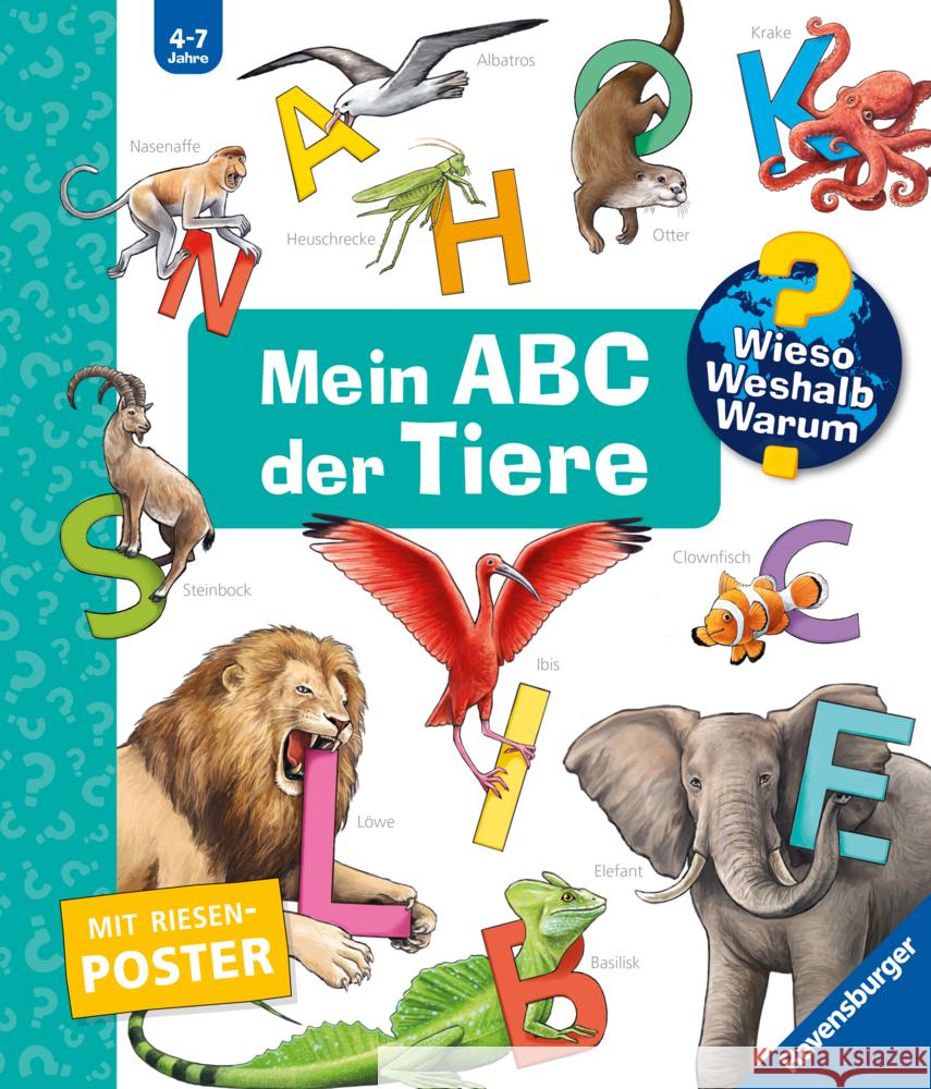 Wieso? Weshalb? Warum? Sonderband - Mein ABC der Tiere Gernhäuser, Susanne 9783473600779 Ravensburger Verlag - książka