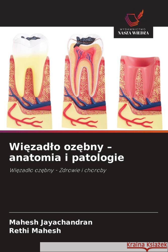 Wiezadlo ozebny - anatomia i patologie Jayachandran, Mahesh, Mahesh, Rethi 9786208954291 Wydawnictwo Nasza Wiedza - książka