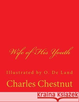 Wife of His Youth Charles Waddell Chestnut O. De Land 9781497347861 Createspace Independent Publishing Platform - książka