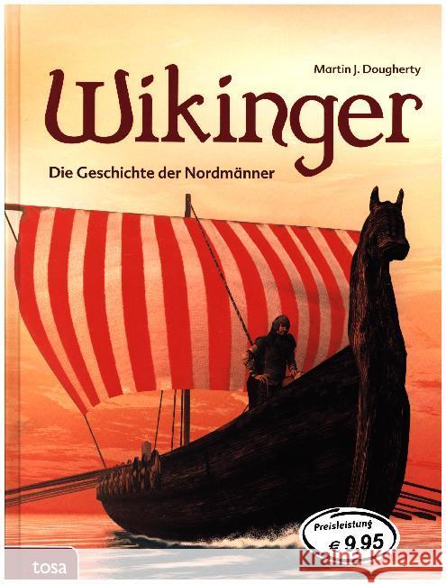 Wikinger : Die Geschichte der Nordmänner Dougherty, Martin J. 9783863133054 Tosa - książka