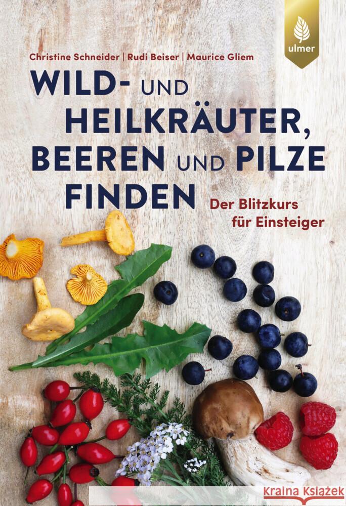 Wild- und Heilkräuter, Beeren und Pilze finden Schneider, Christine, Beiser, Rudi, Gliem, Maurice 9783818616656 Verlag Eugen Ulmer - książka