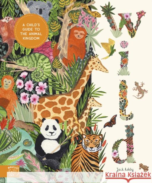 Wild: A Child's Guide to the Animal Kingdom Jack Ashby 9781917044059 Magic Cat Publishing - książka