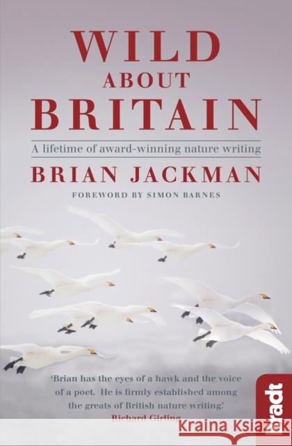 Wild About Britain: A lifetime of award-winning nature writing Brian Jackman 9781784770679 Bradt Travel Guides - książka