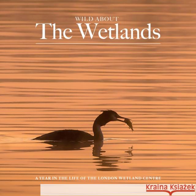 Wild about The Wetlands: A Year in the Life of The London Wetland Centre Andrew Wilson 9781916485839 Unity Print and Publishing Ltd - książka