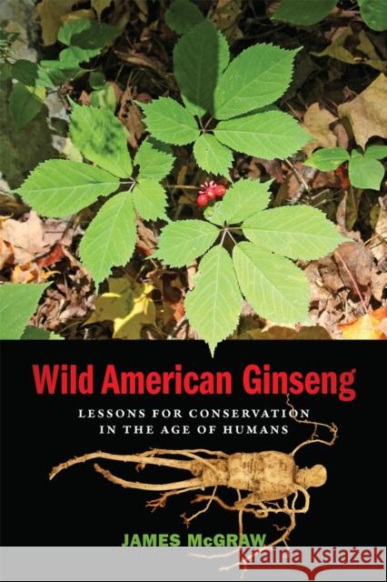 Wild American Ginseng: Lessons for Conservation in the Age of Humans McGraw, James 9780820361987 University of Georgia Press - książka