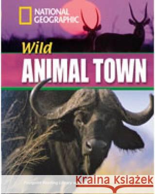 Wild Animal Town : Text in English. Niveau B1 Rob Waring 9781424010899 National Geographic Learning - książka