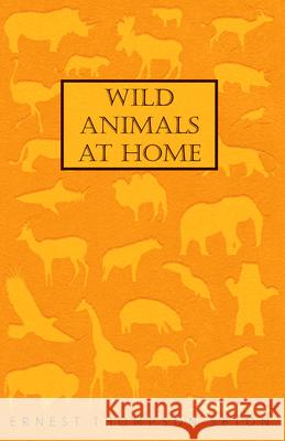 Wild Animals at Home Seton, Ernest Thompson 9781408697276 Jesson Press - książka