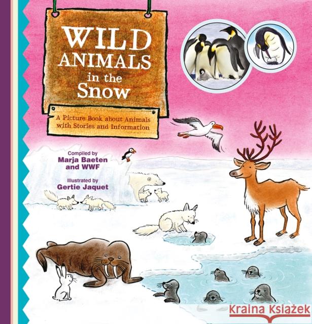 Wild Animals in the Snow. a Picture Book about Animals with Stories and Information Marja Baeten Gertie Jaquet 9781605377209 Clavis - książka