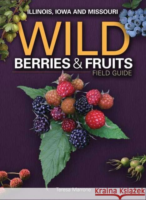 Wild Berries & Fruits Field Guide of Illinois, Iowa and Missouri Marrone, Teresa 9781591932482 Adventure Publications(MN) - książka