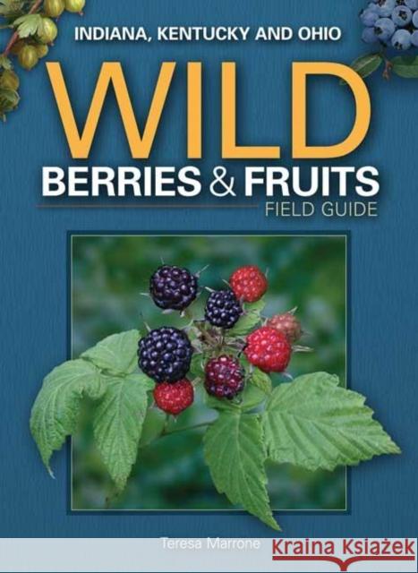 Wild Berries & Fruits Field Guide of Indiana, Kentucky and Ohio Marrone, Teresa 9781591933069 Adventure Publications(MN) - książka