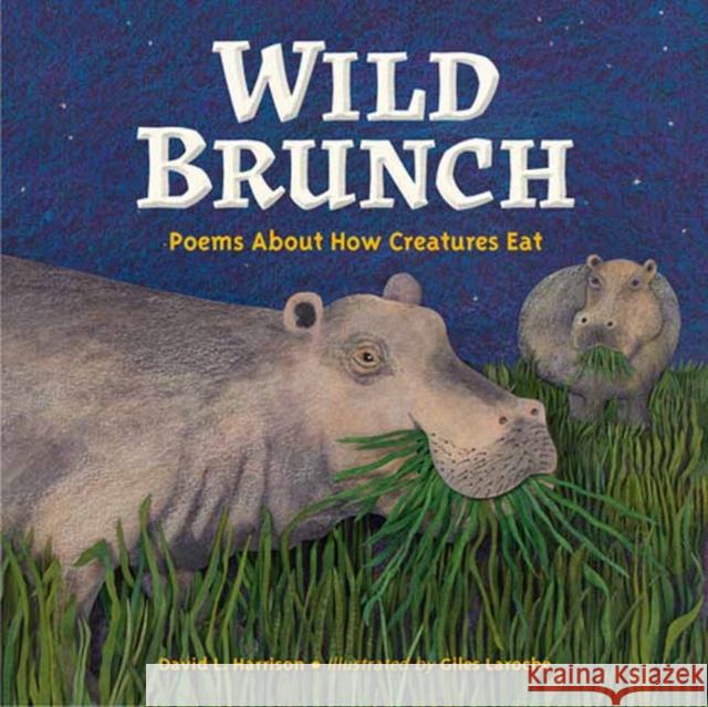 Wild Brunch: Poems About How Creatures Eat Giles Laroche 9781623543945 Charlesbridge Publishing - książka