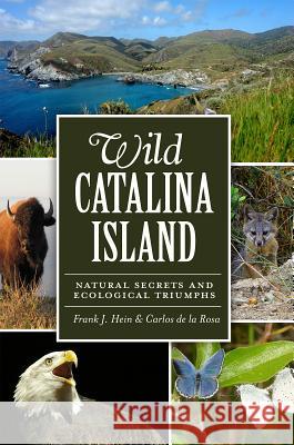 Wild Catalina Island:: Natural Secrets and Ecological Triumphs de La Rosa, Carlos 9781609496630 History Press - książka