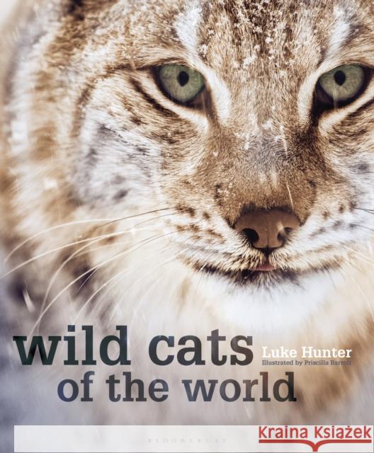 Wild Cats of the World Luke Hunter 9781472968265 Bloomsbury Publishing PLC - książka