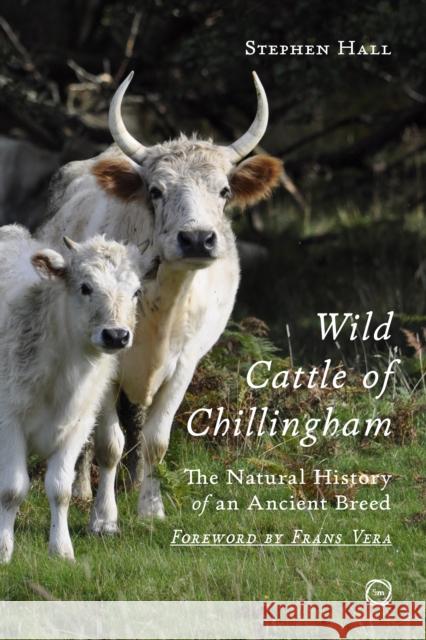 Wild Cattle of Chillingham: The Natural History of an Ancient Breed Stephen Hall 9781789183832 5m Books - książka