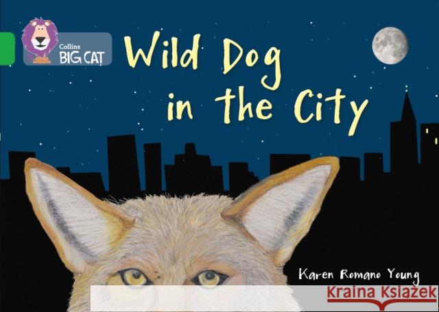 Wild Dog In The City: Band 05/Green  9780007539772 HarperCollins Publishers - książka