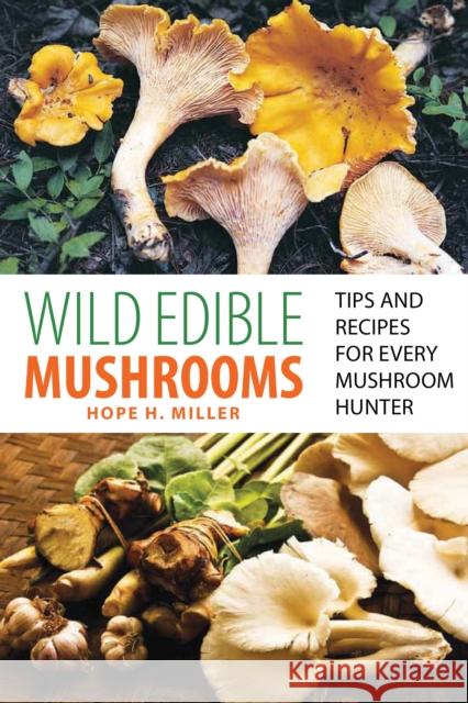 Wild Edible Mushrooms: Tips and Recipes for Every Mushroom Hunter Hope H. Miller 9780762771431 FalconGuide - książka